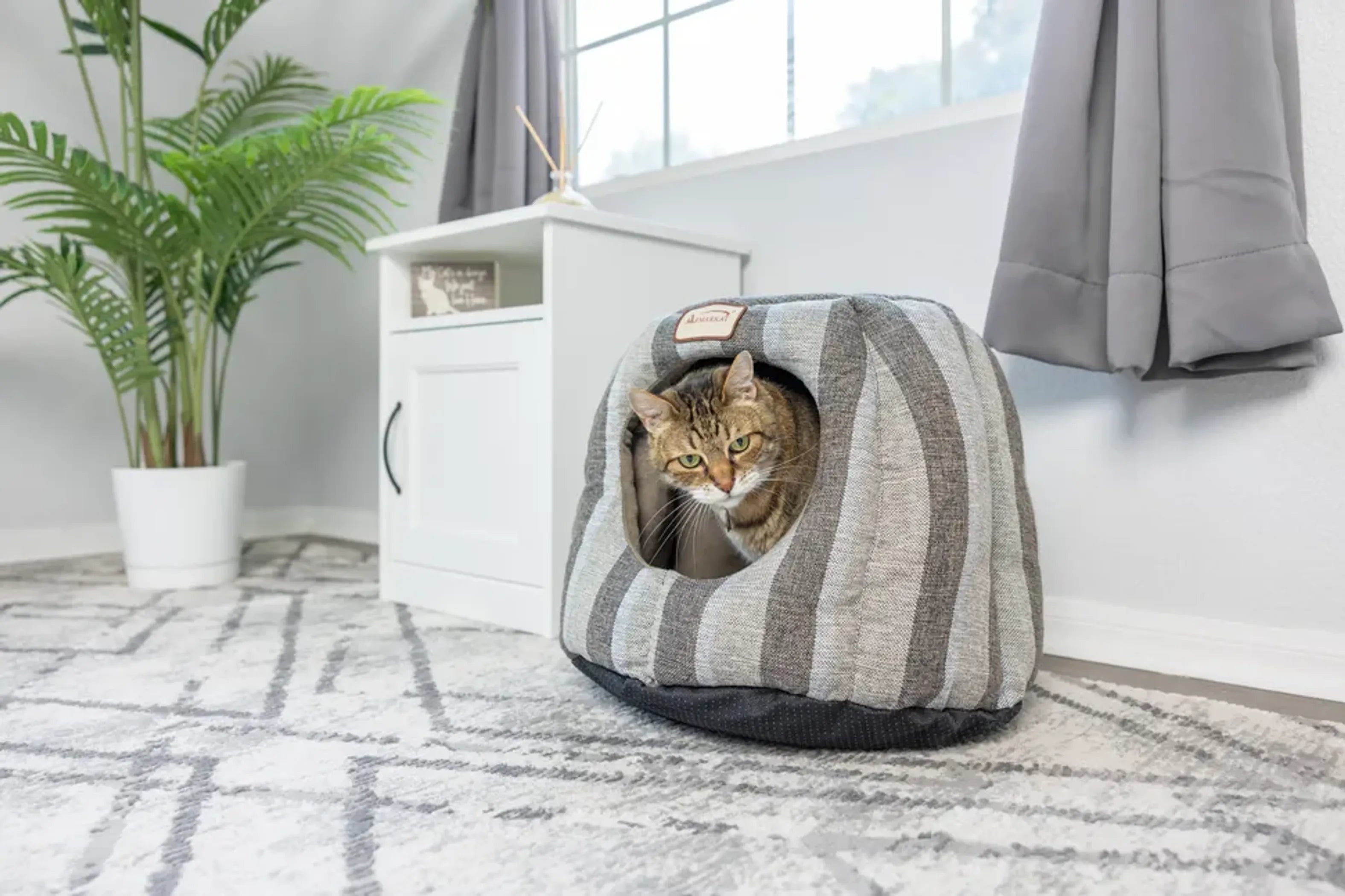 Cozy Cat Cave Shape Bed W Anti-Slip Base