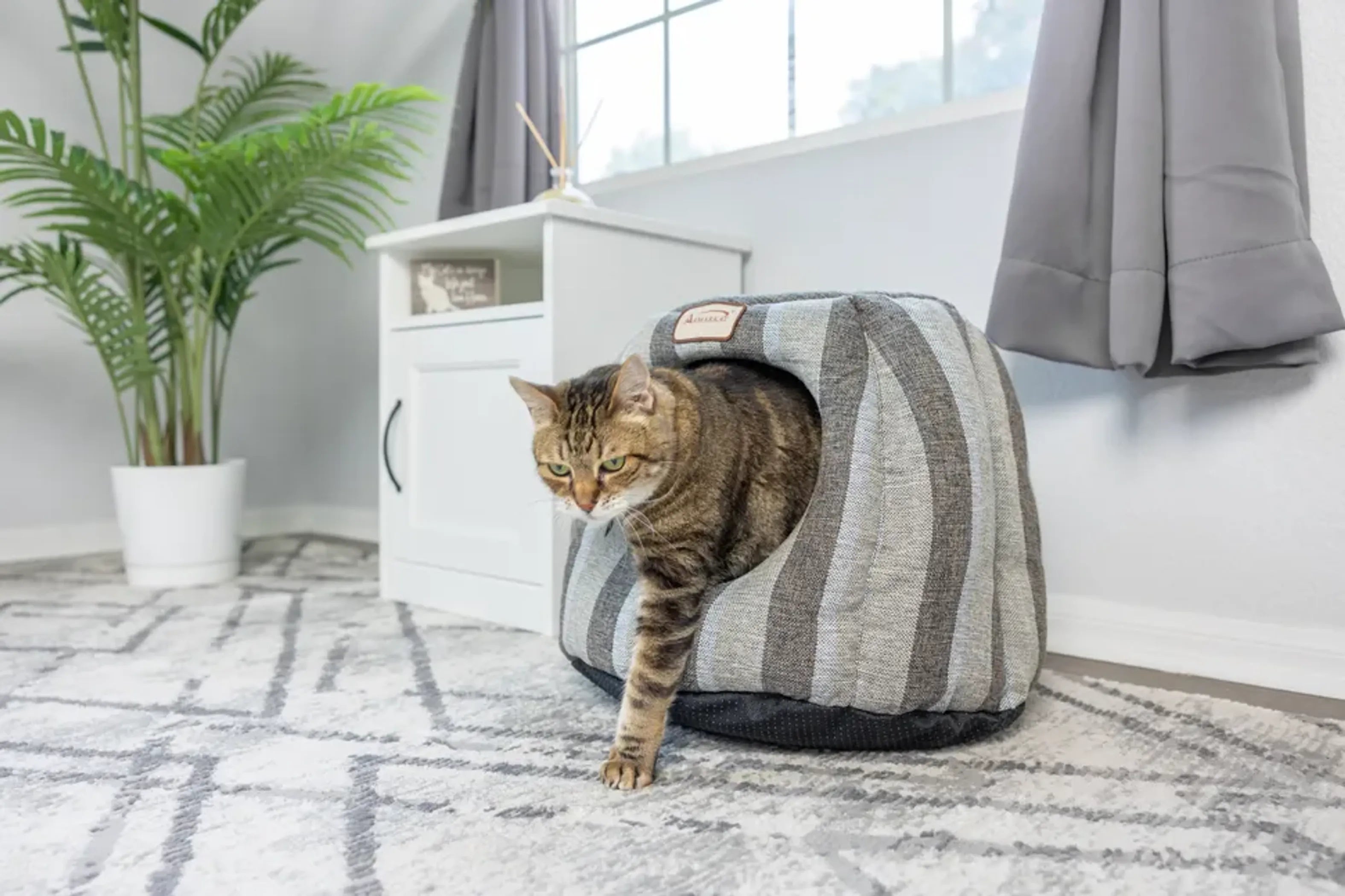Cozy Cat Cave Shape Bed W Anti-Slip Base